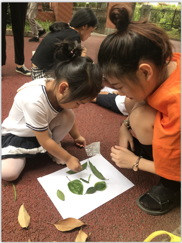 同学带着幼儿用树叶进行拼贴