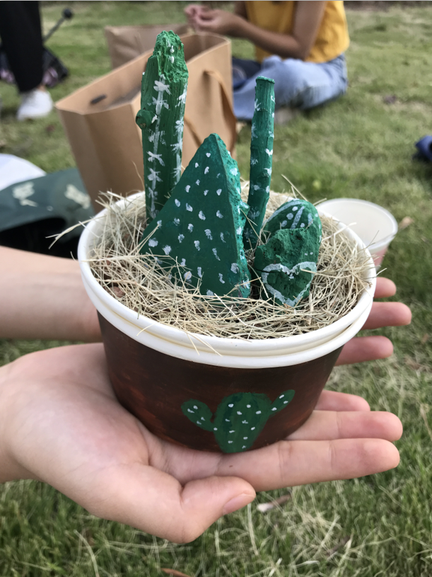 树枝创意《盆栽》